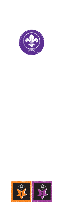 JOINING IN AWARD MOVING ON AWARD    Moving on to Cubs MEMBERSHIP  AWARD